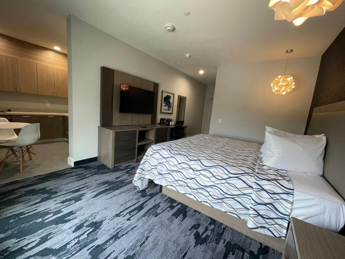 Palace Inn Blue Houston East Beltway 8 Cloverleaf Екстер'єр фото